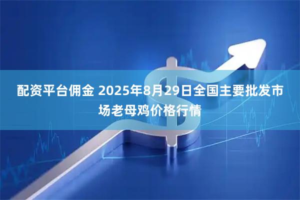 配资平台佣金 2025年8月29日全国主要批发市场老母鸡价格行情